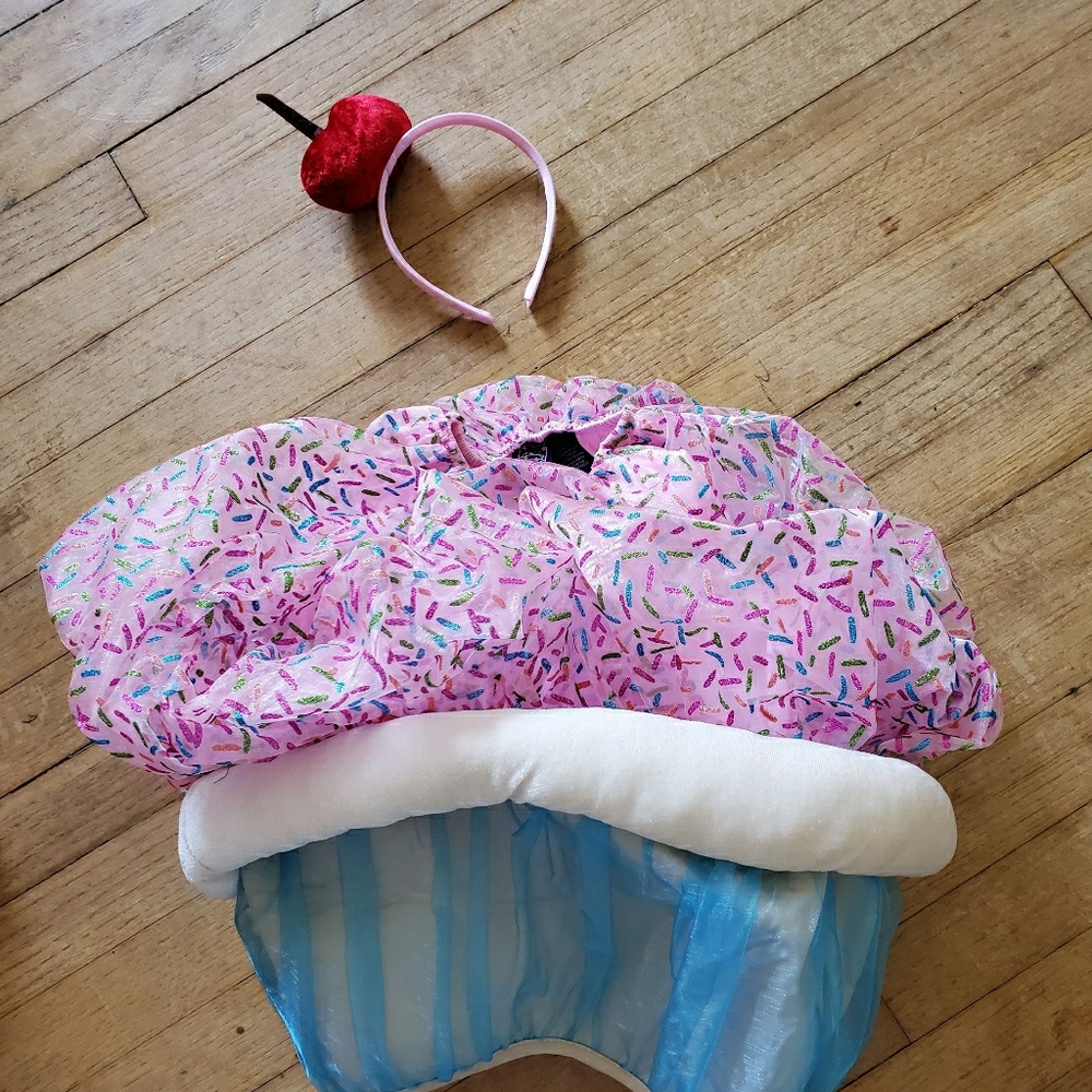 2t cupcake costume